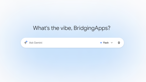 Google Gemini Screenshot